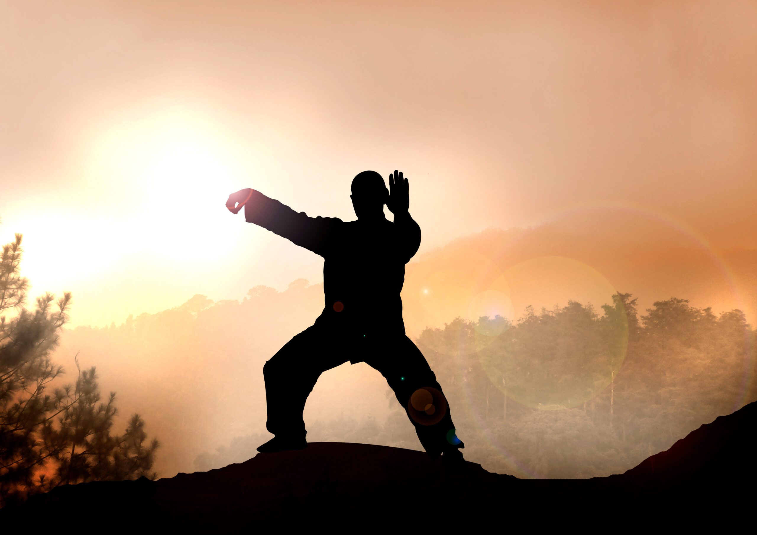 Tai Chi und Qi Gong lassen dich deine innere Ruhe und Ausgeglichenheit finden